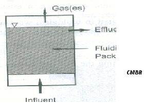 Fluidized Bed Reactor