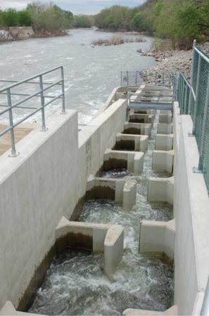 Fish Ladder in Weirs