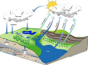 History of Hydrology