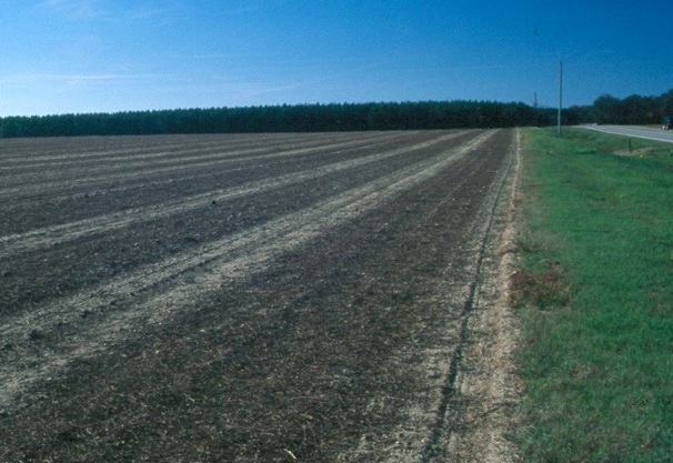 Plain fields Irrigation