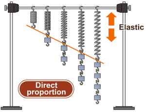 Hooke's Law Spring