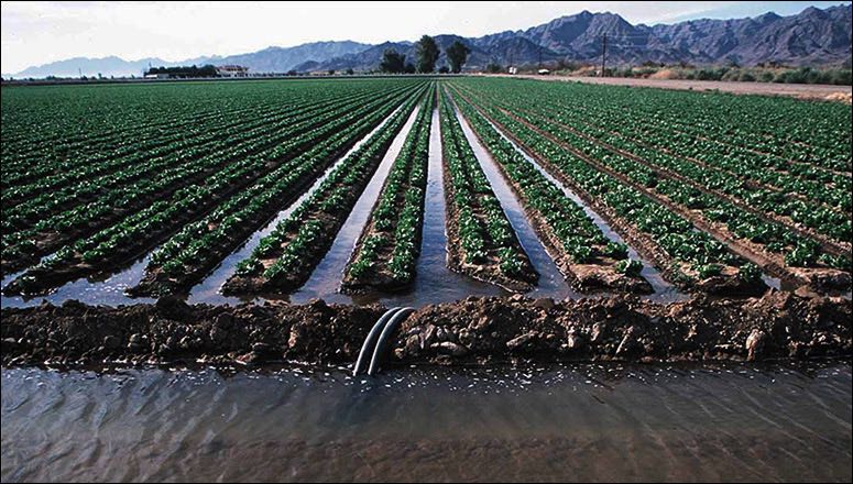 Surface Irrigation Methods