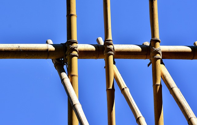 Bamboo as Concrete Reinforcement