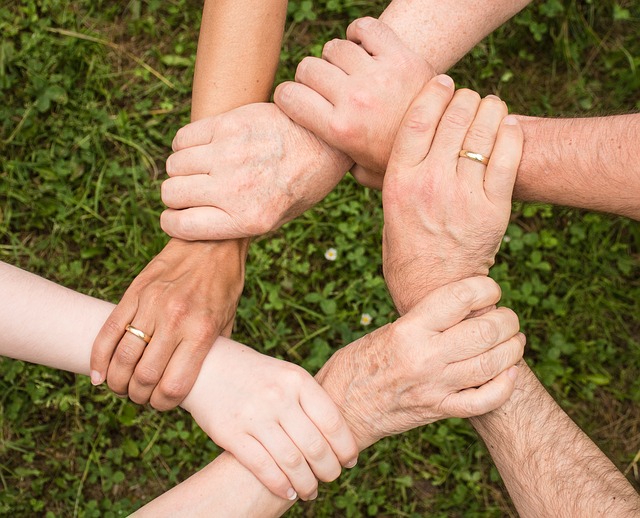 Partnerschapsorganisatie