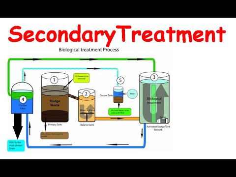 Secondary Biological Wastewater Treatment Process