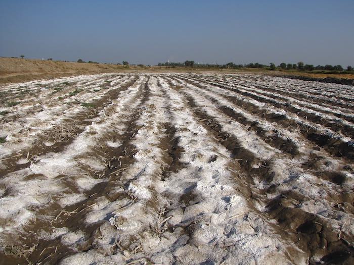 Water Logging & Salinity in Pakistan