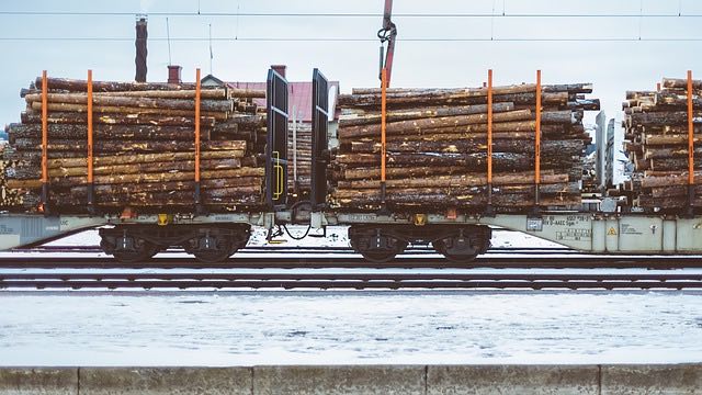 Logs - Wood Timber Properties