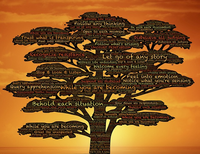 environmental impact assessment steps