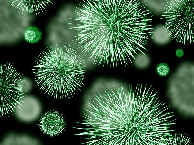 Microbial Metabolism in Biological Waste Water Treatment