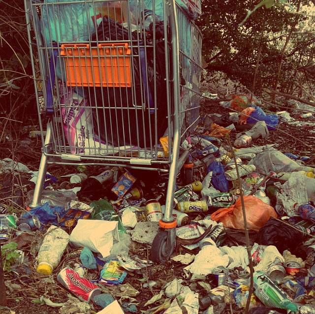 Hospital Waste Landfill