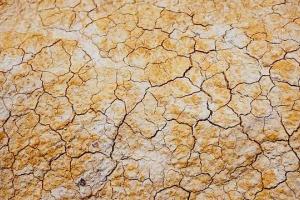 Soil Formation Factors