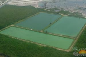 WasteWater Treatment Ponds