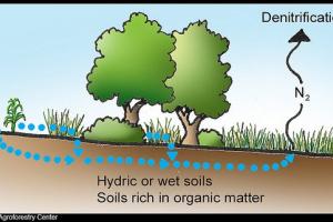 DeNitrification