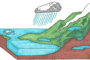 Water Cycle