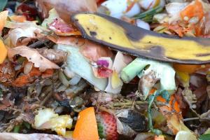 Composting of Solid Waste