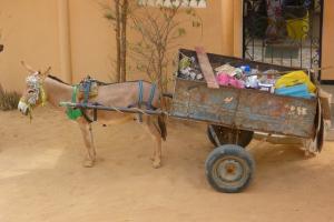 Solid Waste Collection Animal Cart