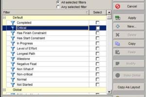 Filtering Activities in Primavera P3