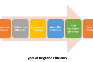 Types of Irrigation Efficiency