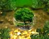 Environmental Impact Assessment