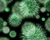 Microbial Metabolism in Biological Waste Water Treatment